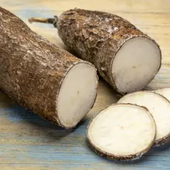 Deux racines de manioc coupées, dont quelques rondelles, prêtes pour une délicieuse recette manioc.