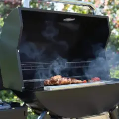 Viande et légumes grillés sur un brasero fumant. La réponse à la question : peut-on faire des grillades sur un brasero ? est oui !