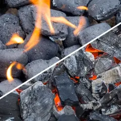 Comparaison visuelle : le charbon de bois, irrégulier et incandescent, face au charbon compact et en flammes.