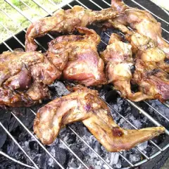 Plusieurs morceaux de lapin barbecue grillent sur un feu de charbon de bois. La viande est dorée et appétissante.