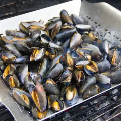 Un panier métallique rempli de moules au brasero, prêtes à être grillées sur des braises ardentes.