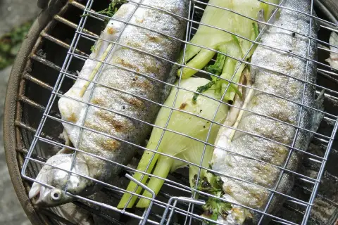 Trois truites entières sur un grill, accompagnées de fenouil, prêtes pour une recette truite barbecue.