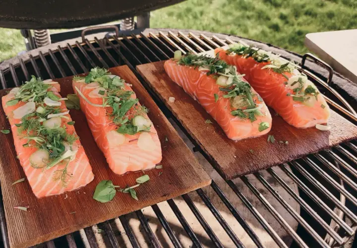 Quatre pavés de saumon sur planche de cèdre, garnis d'herbes fraîches et d'ail, prêts à être grillés.