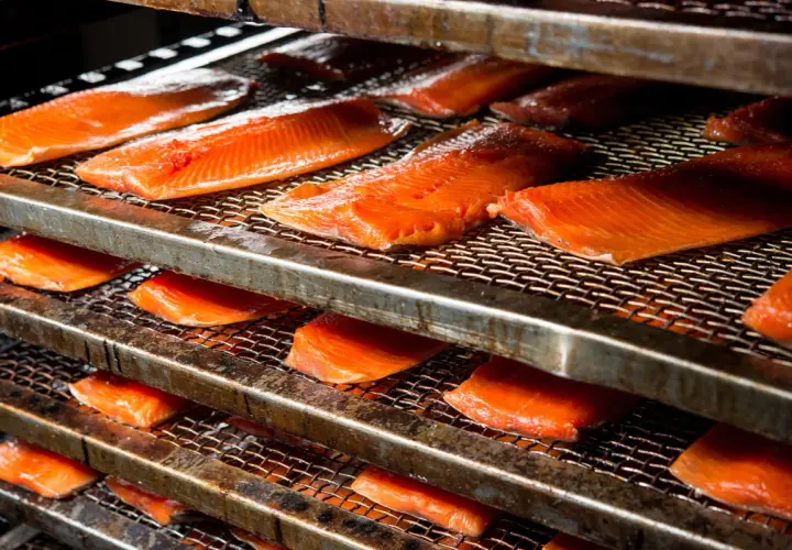 Filets de saumon orangés disposés sur des grilles métalliques, prêts pour un fumage à froid.