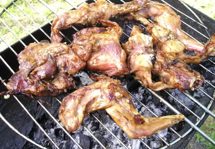 Plusieurs morceaux de lapin barbecue grillent sur un feu de charbon de bois. La viande est dorée et appétissante.