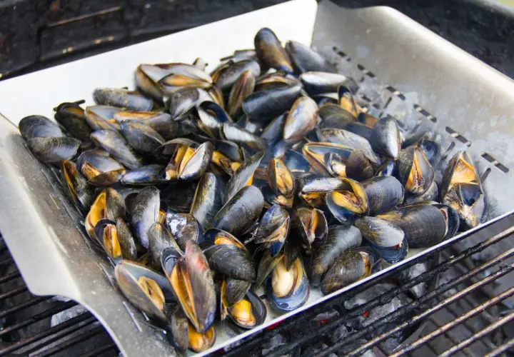 Un panier métallique rempli de moules au brasero, prêtes à être grillées sur des braises ardentes.