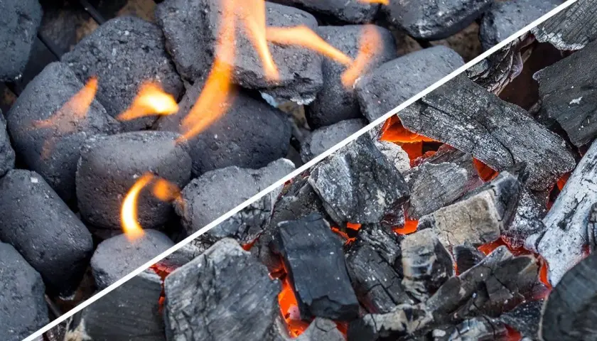 Comparaison visuelle : le charbon de bois, irrégulier et incandescent, face au charbon compact et en flammes.