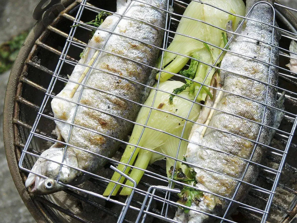 Trois truites entières sur un grill, accompagnées de fenouil, prêtes pour une recette truite barbecue.