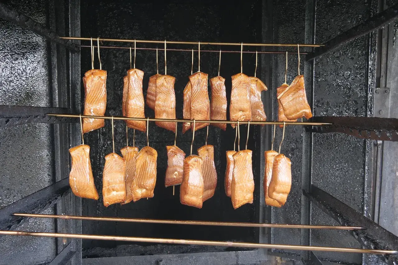 Filets de saumon suspendus dans un fumoir, prêts pour le fumage à froid. Le saumon est une excellente viande à fumer à froid.