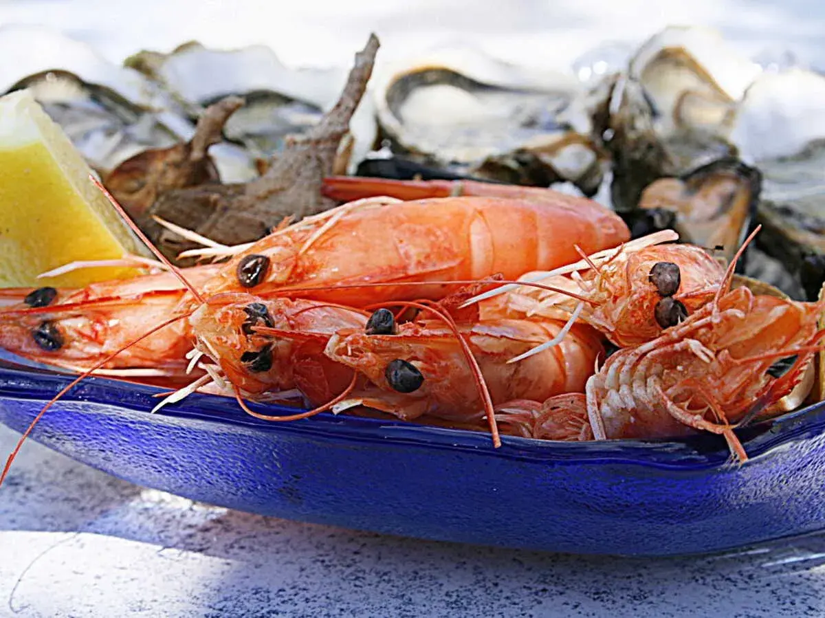 Gambas barbecue sur un plat bleu, avec des huîtres et un quartier de citron en arrière-plan. Un délice de fruits de mer prêt à être dégusté.