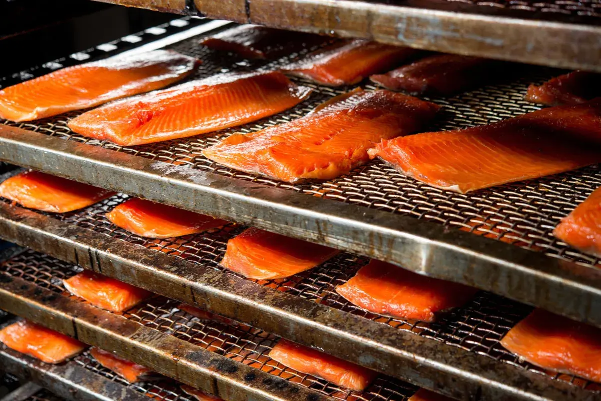 Filets de saumon orangés disposés sur des grilles métalliques, prêts pour un fumage à froid.
