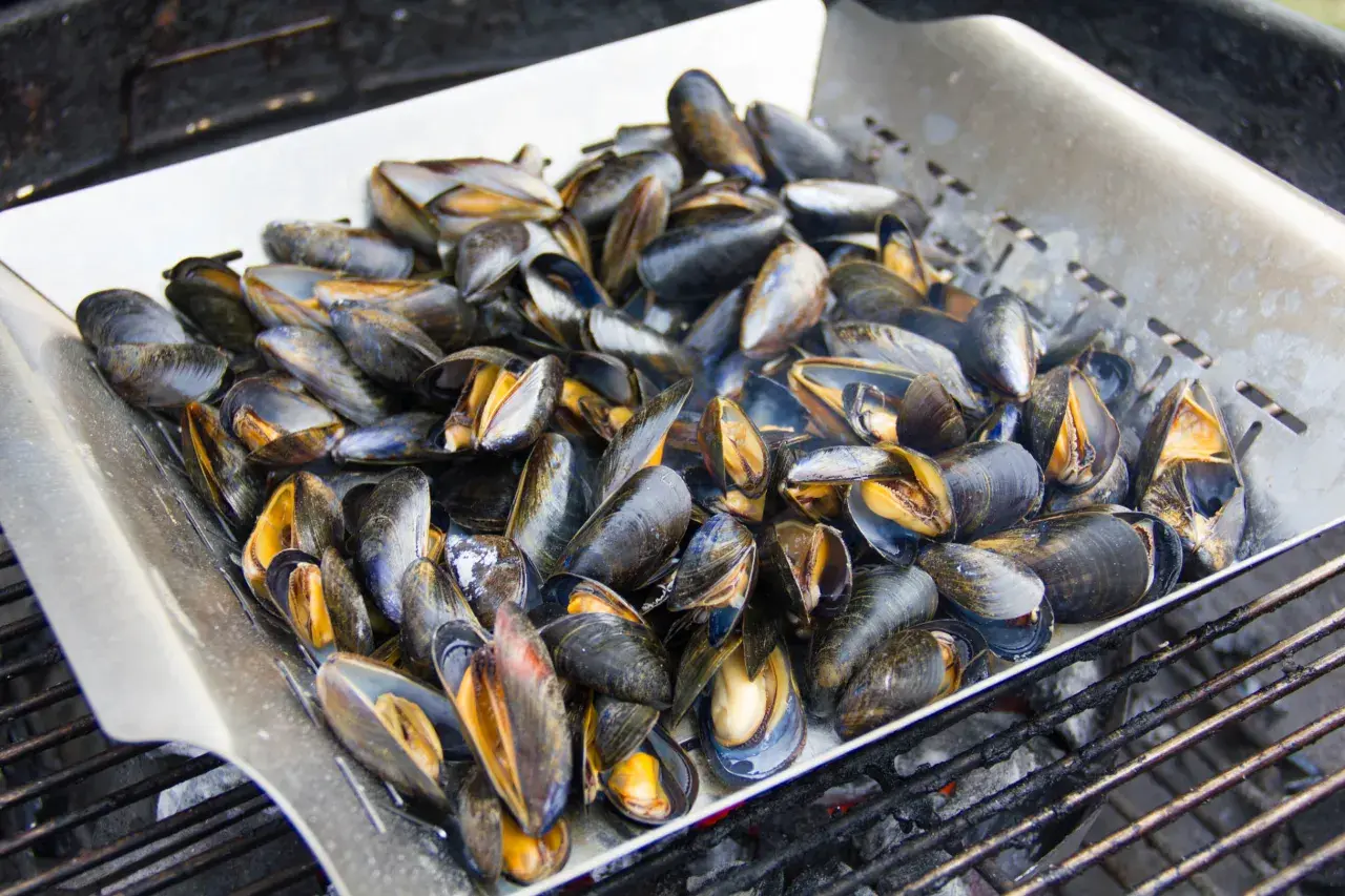 Un panier métallique rempli de moules au brasero, prêtes à être grillées sur des braises ardentes.