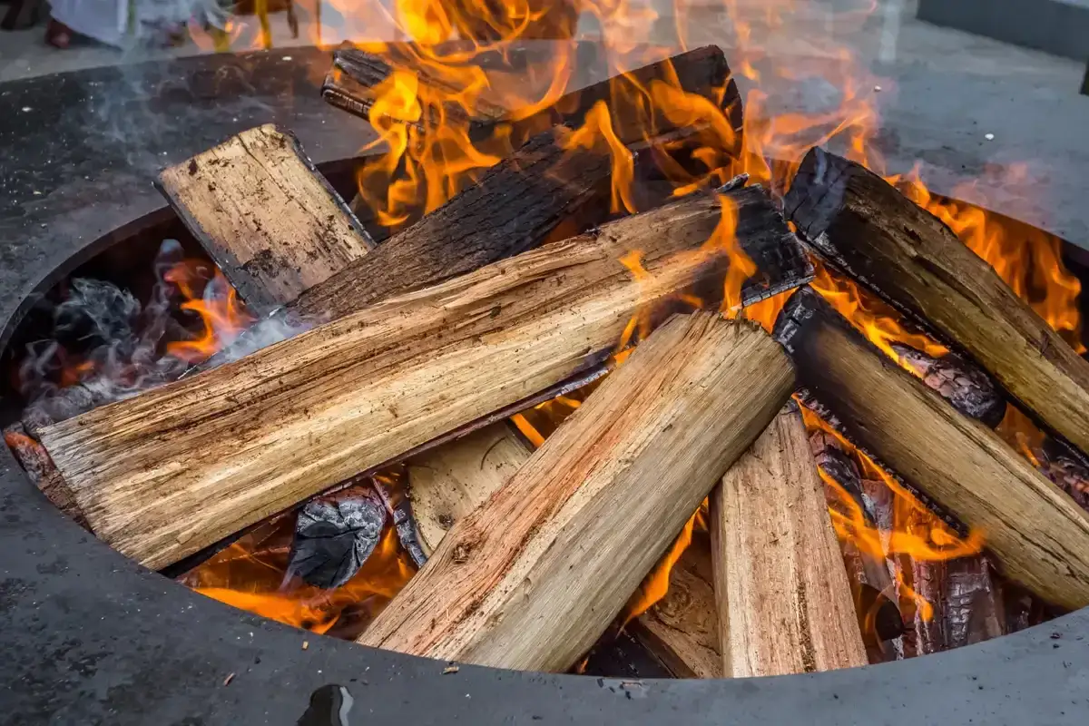 Des b&ucirc;ches de bois s'enflamment dans un brasero, cr&eacute;ant une ambiance chaleureuse.